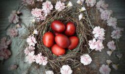 Βαφή αυγών με ριζάρι